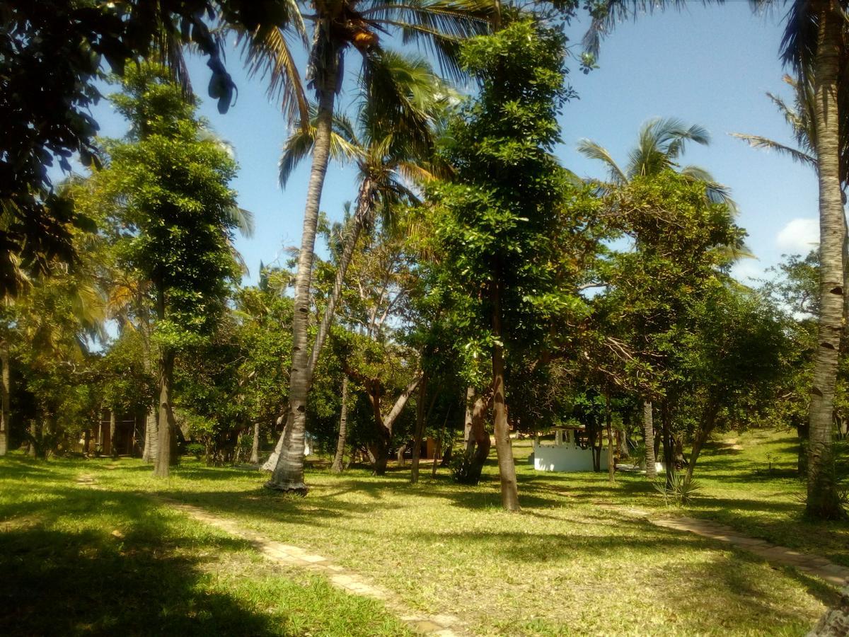 Turtle Cove Lodge And Yoga Shala Tofo Ngoại thất bức ảnh