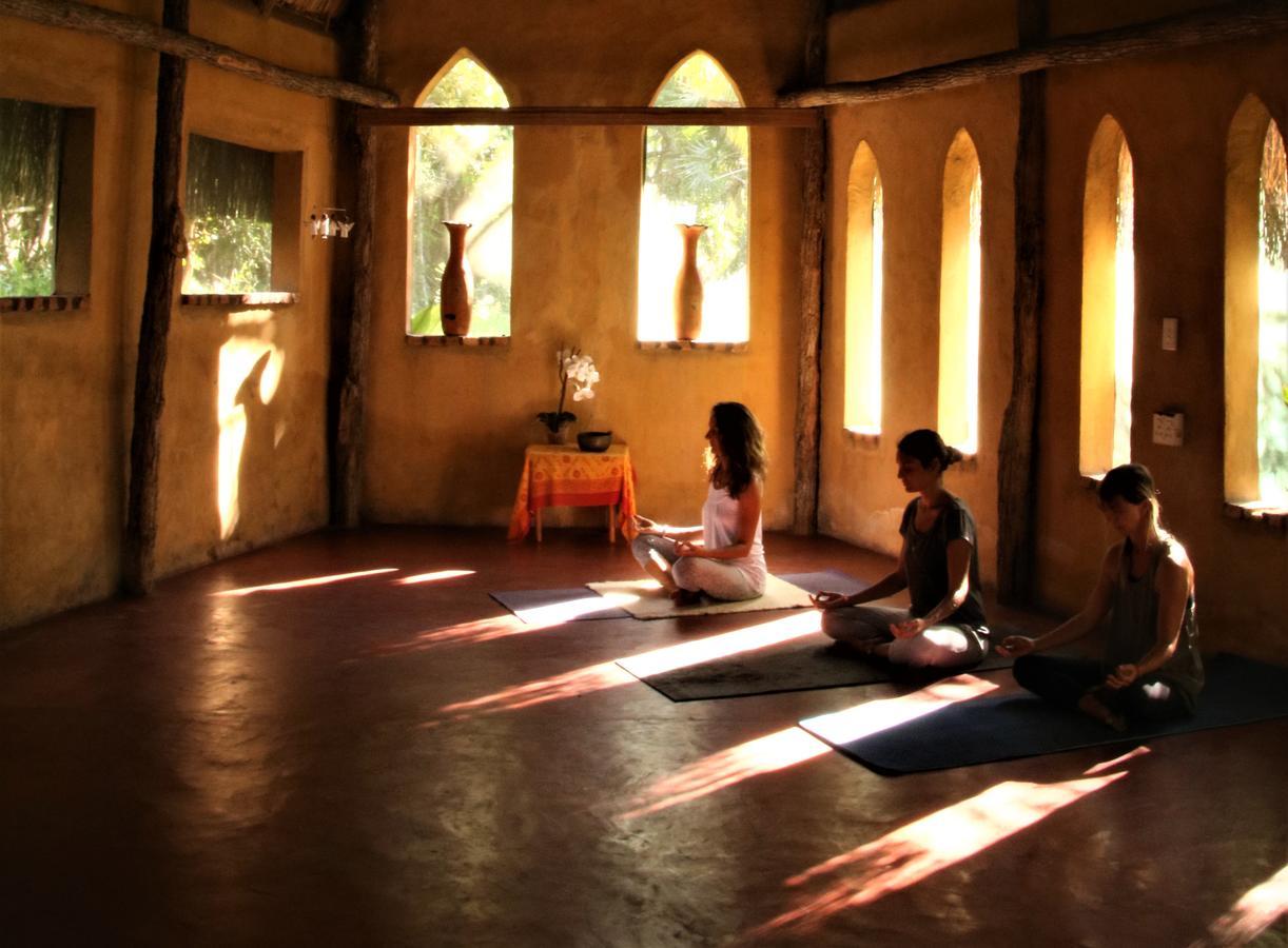 Turtle Cove Lodge And Yoga Shala Tofo Ngoại thất bức ảnh