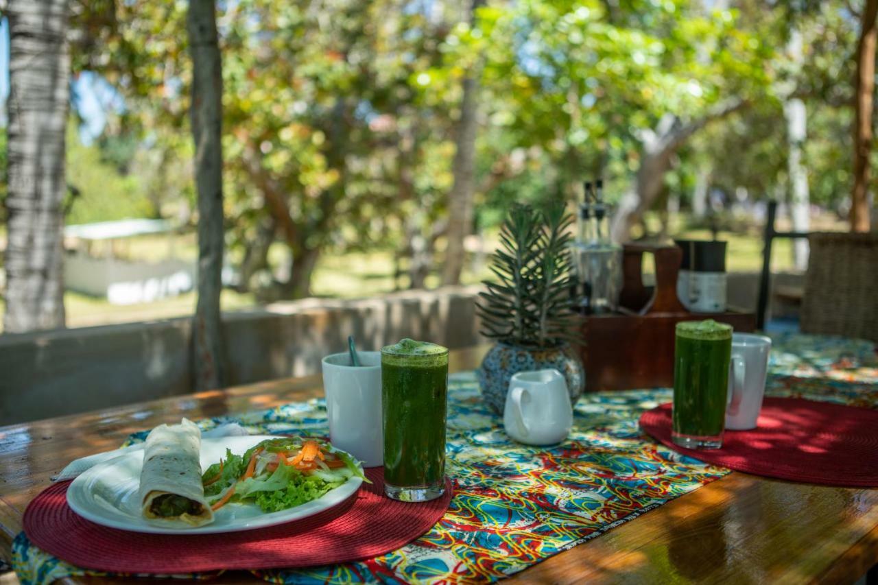 Turtle Cove Lodge And Yoga Shala Tofo Ngoại thất bức ảnh