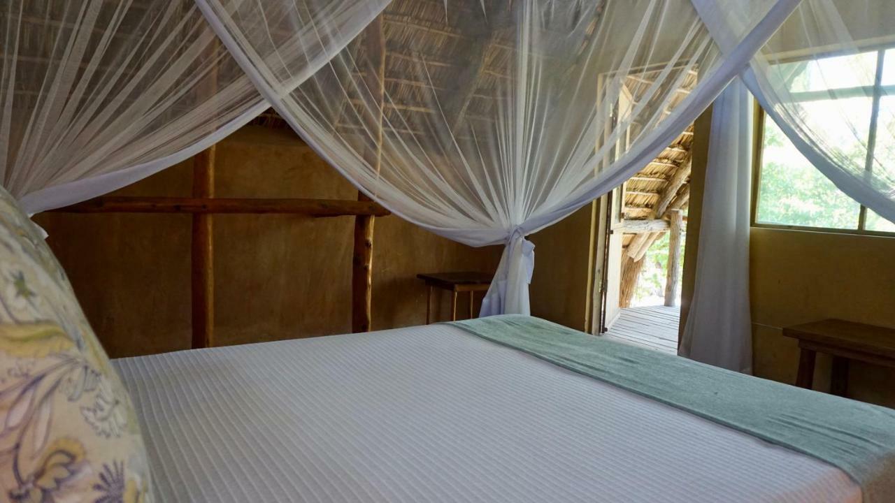 Turtle Cove Lodge And Yoga Shala Tofo Ngoại thất bức ảnh