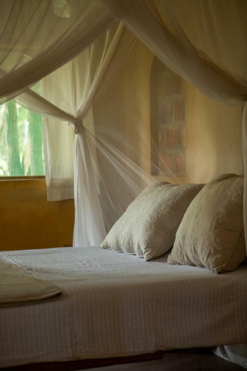 Turtle Cove Lodge And Yoga Shala Tofo Ngoại thất bức ảnh