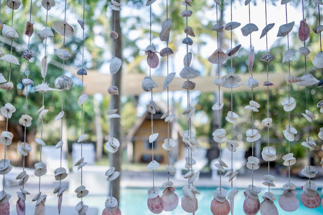 Turtle Cove Lodge And Yoga Shala Tofo Ngoại thất bức ảnh