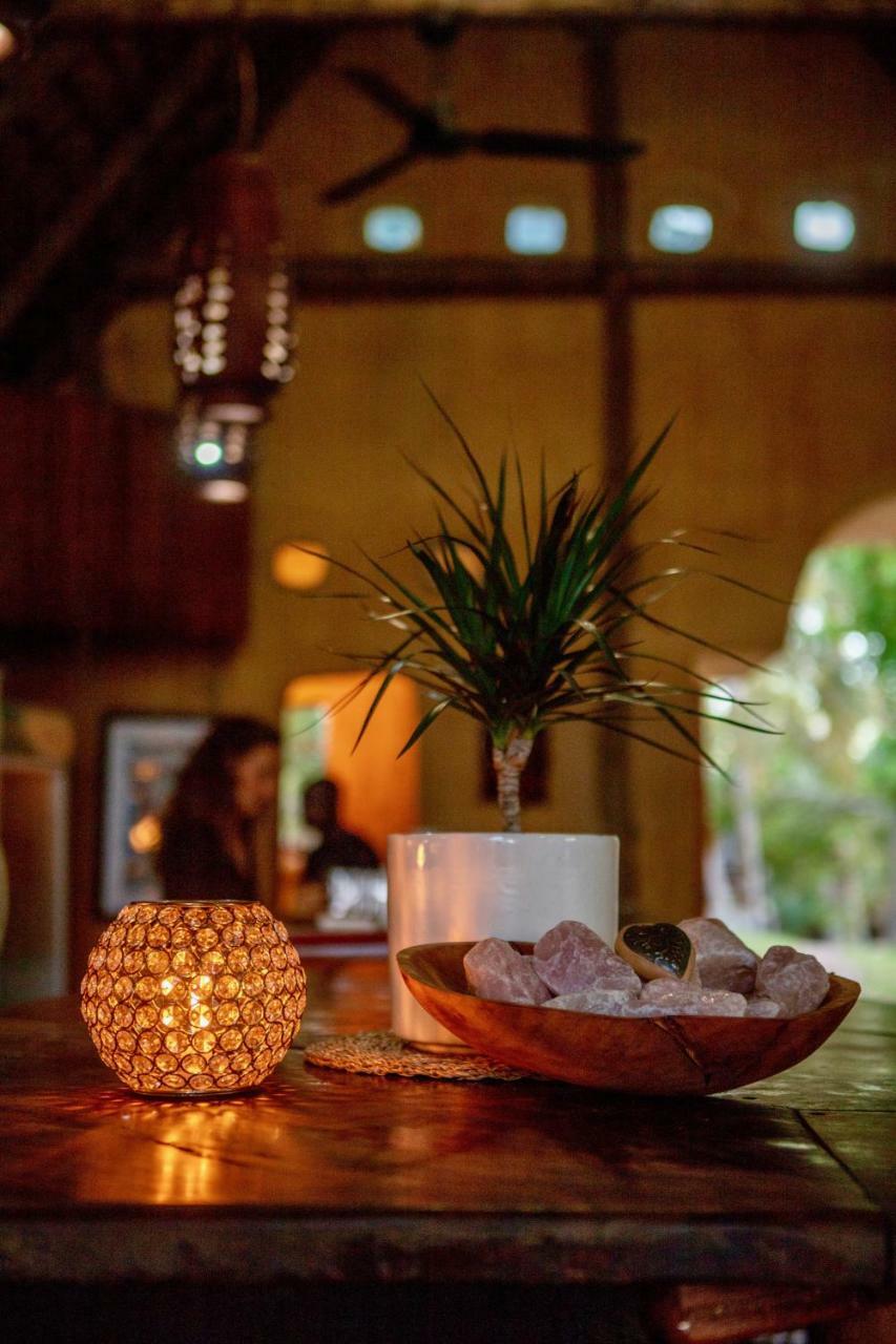Turtle Cove Lodge And Yoga Shala Tofo Ngoại thất bức ảnh