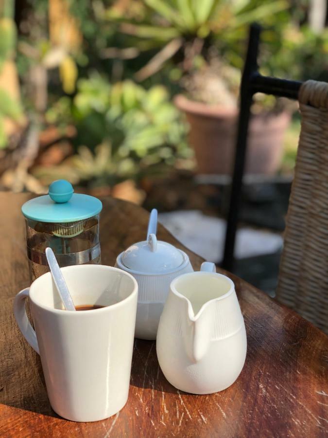 Turtle Cove Lodge And Yoga Shala Tofo Ngoại thất bức ảnh